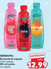Herbapol Koncentrat napoju różne rodzaje