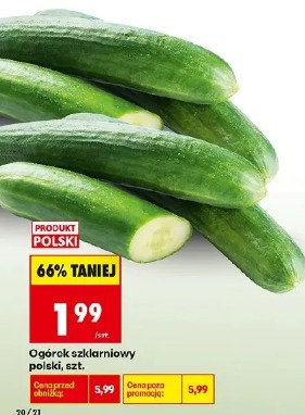 Ogórek szklarniowy polski