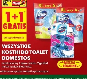 Wszystkie kostki do toalet Domestos