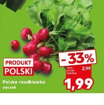 Polska rzodkiewka pęczek