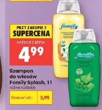Szampon do włosów Family Splash, 1 l