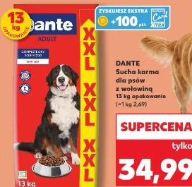 Dante Sucha karma dla psów z wołowiną