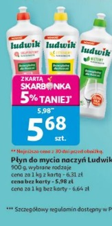 Płyn do mycia naczyń Ludwik
