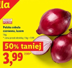 Polska cebula czerwona