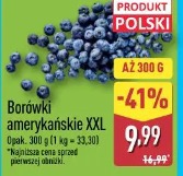 Borówki amerykańskie XXL