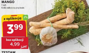 Zestaw do kiszenia