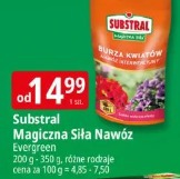 Substral Magiczna Siła Nawóz Evergreen