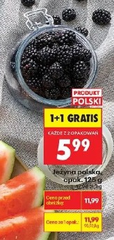 Jeżyna polska