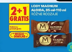 Lody Magnum Algida