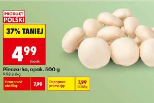 Pieczarka