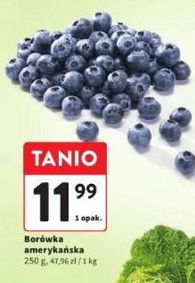 Borówka amerykańska