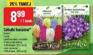 Cebulki kwiatów