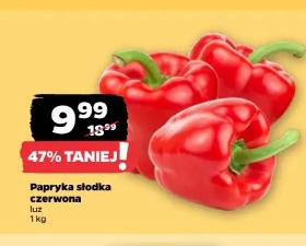 Papryka słodka czerwona