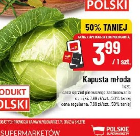 Kapusta młoda