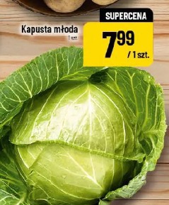 Kapusta młoda