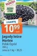 Jagody leśne Hortex