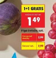 Figa świeża