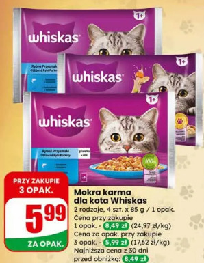 Whiskas mokra karma dla kota