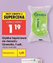 Gąbka kąpielowa do masażu Oceania