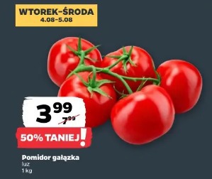 Pomidor gałązka