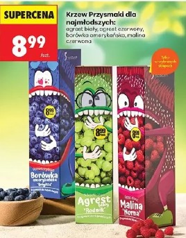 Krzew Przysmaki dla najmłodszych