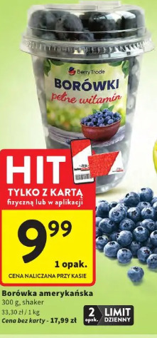 Borówka amerykańska Berry Trade