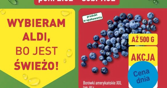 Borówki amerykańskie XXL