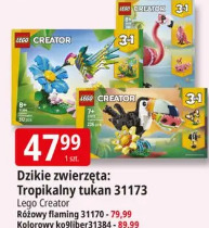 Dzikie zwierzęta: Tropikalny tukan 31173