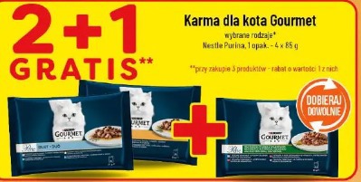 Karma dla kota Gourmet