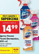 Spray Power Foam Domestos