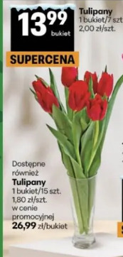 Tulipany