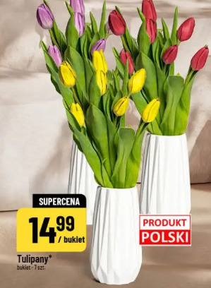 Tulipany