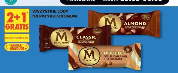 Wszystkie lody na patyku Magnum