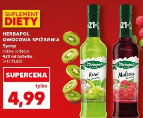 Herbapol Owocowa Spiżarnia syrop