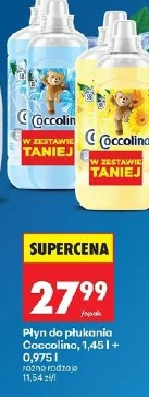 Płyn do płukania Coccolino