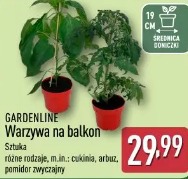 Gardenline Warzywa na balkon
