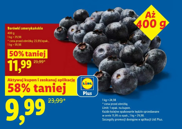Borówki amerykańskie