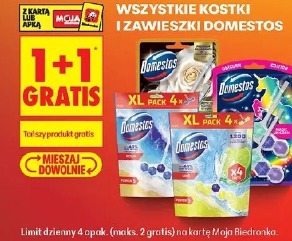 Wszystkie kostki i zawieszki Domestos