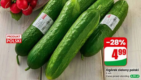 Ogórek zielony polski