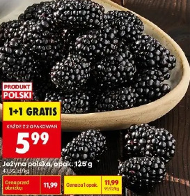 Jeżyna polska