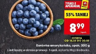 Borówka amerykańska