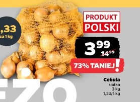 Cebula