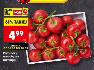Pomidor na gałązce