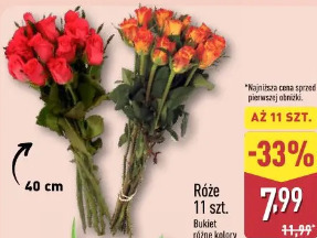 Róże 11 szt.