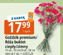Goździk premium/Róża bukiet ciepły/zimny