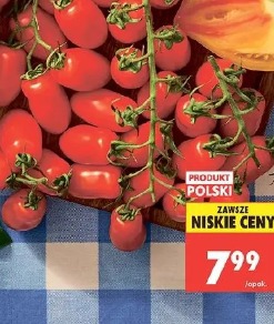 Pomidor mini San Marzano gałązka