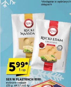 Ser w plastrach Ryki