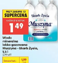 Woda mineralna lekko gazowana Muszyna - Skarb życia