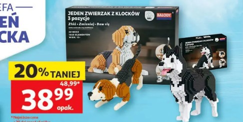 Pies z klocków 3 w 1