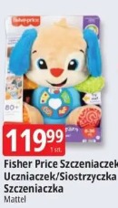 Fisher Price Szczeniaczek Uczniaczek/Siostrzyczka Szczeniaczka